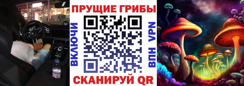 Галлюциногенные грибы GOLDEN TEACHER  продажа наркотиков  Лысьва 